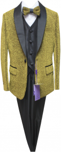 BOYS 5PC. SUIT (GOLD) 2121468